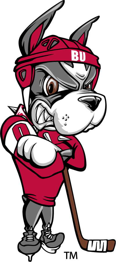 Boston University Terriers 1996-2005 Secondary Logo v5 diy iron on heat transfer